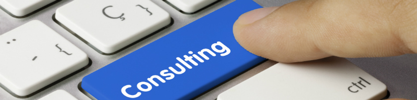 RL Citizenship Consultancy